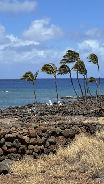 Lapakahi State Historical Park
